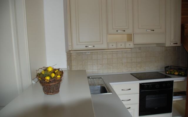 Luxury Apartments Tgm Karlovy Vary