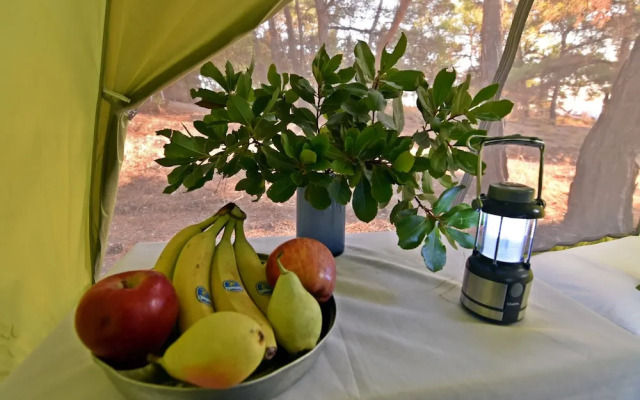 Drolma Ling Nature Cabins