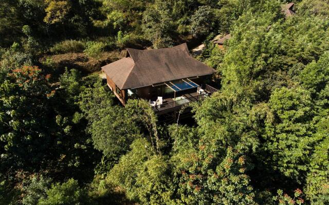 The Tamara Coorg