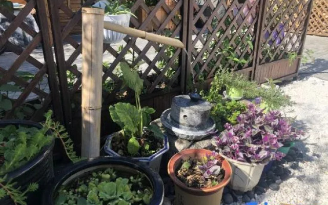 Yuansu·Shiliushu Homestay