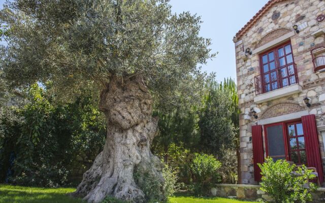 Alacati Zeytin Konak Hotel