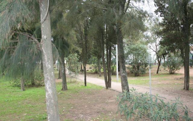 Residencial York