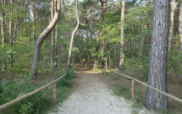 Rogowo Pearl Apartments by Renters