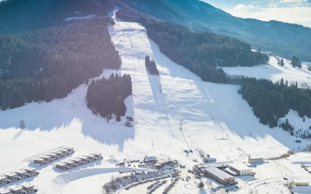 Pleasant Chalet on the ski Slopes
