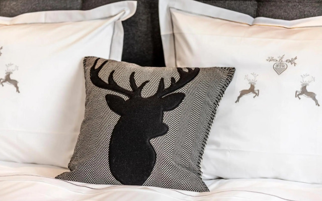 Unique Alpic style apartment in the heart of Davos