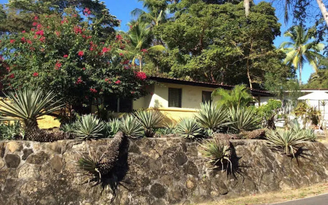 Hibiscus House Bed and Breakfast