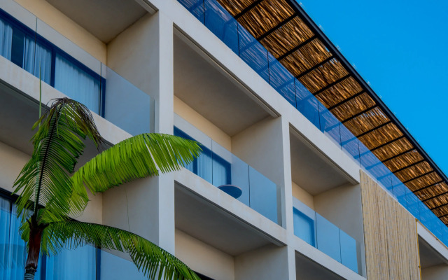 Hive Cancun