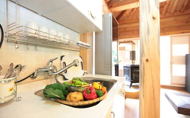 Hongcheon Hometown Spring Pension