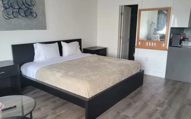 Premium Condos near Universal Studios