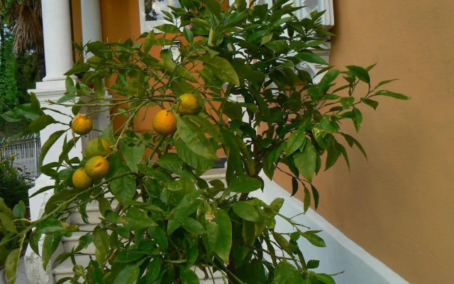 B&B Aquilone
