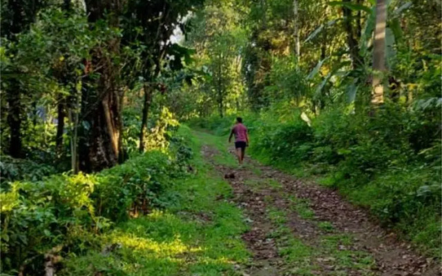 Hallibailu Homestay