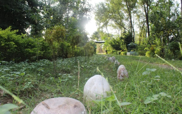 Suklaphanta Jungle Cottage