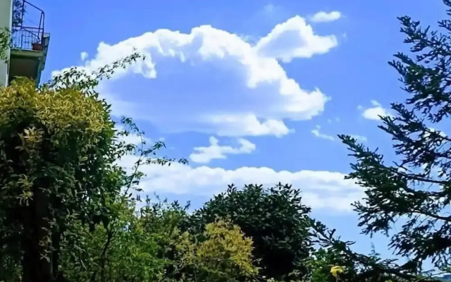 Ripe's Forest Garden Guest House