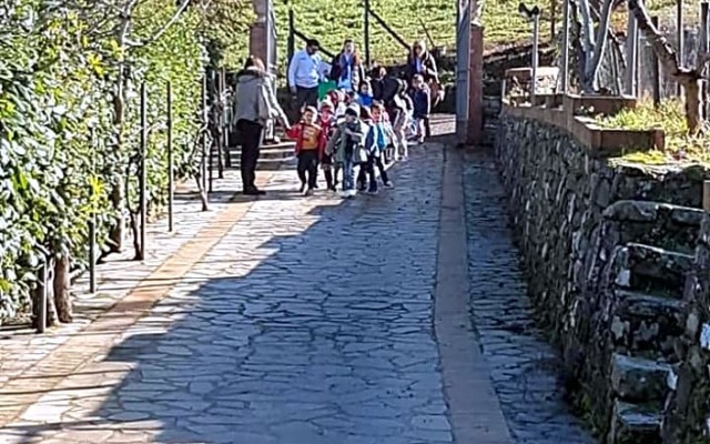 Tenuta Martino