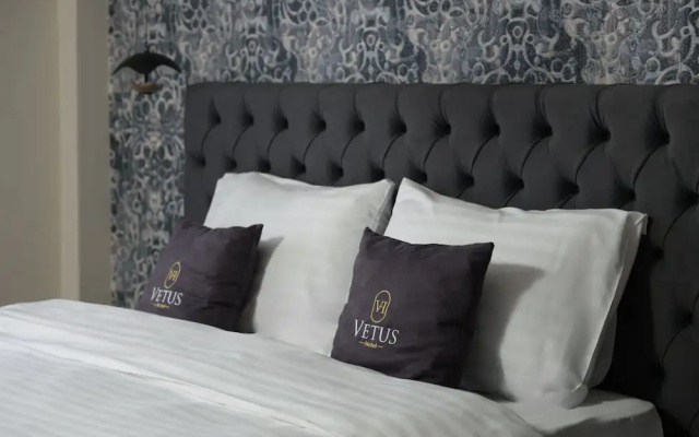 Vetus Hotel