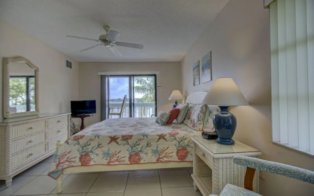 Anna Maria Island Beach Palms