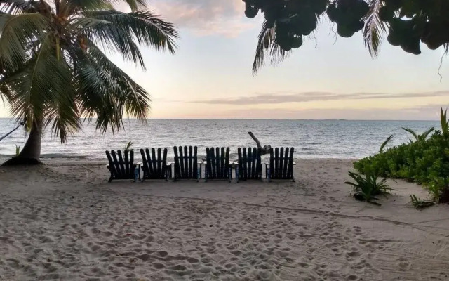 Finca Beachfront Tree house