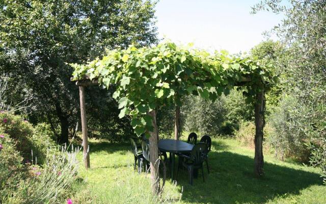 Podere il Pino