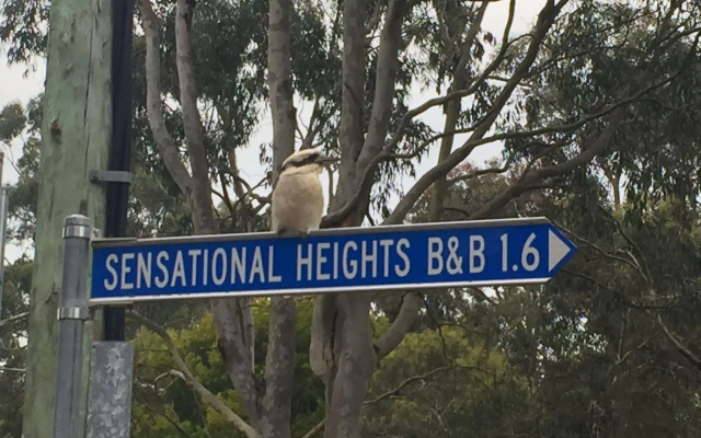 Sensational Heights Bed and Breakfast