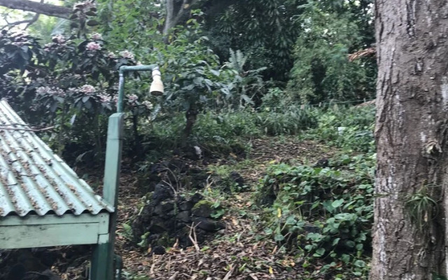 SweetSpotStay-Enchanted Grotto