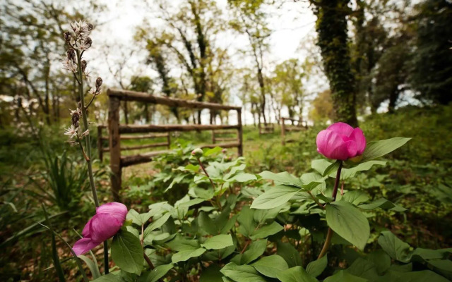 Tenute D'Onghia