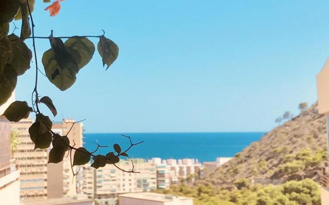 Luxury apartment Maya Seaview