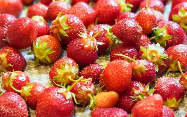 The Lamplighter Bed & Breakfast of Ludington