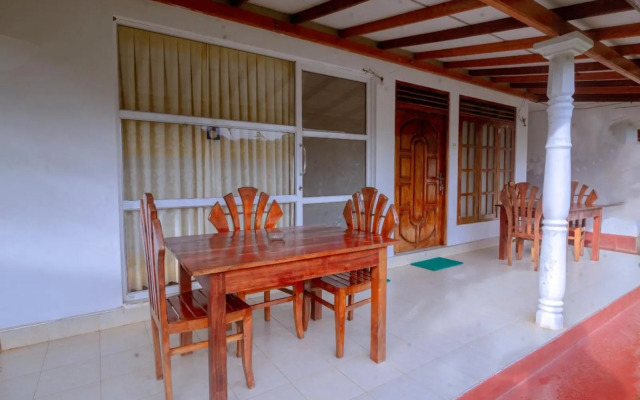 Rainforest River Edge