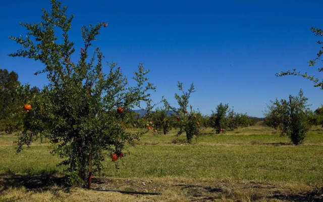 Talga Estate