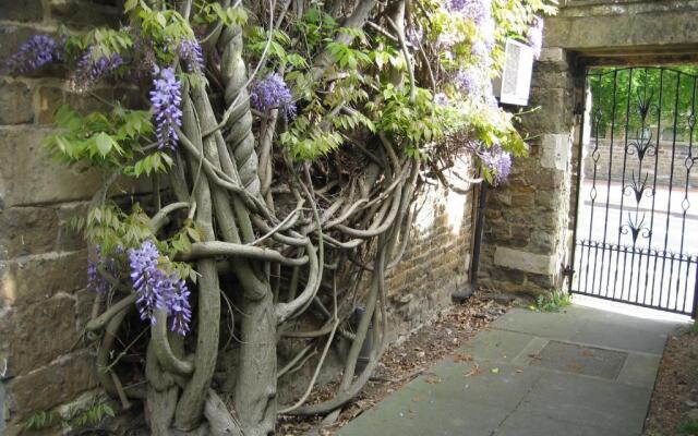 The Wisteria Hotel