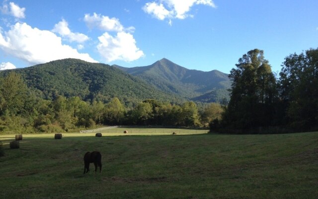 Pisgah View Ranch