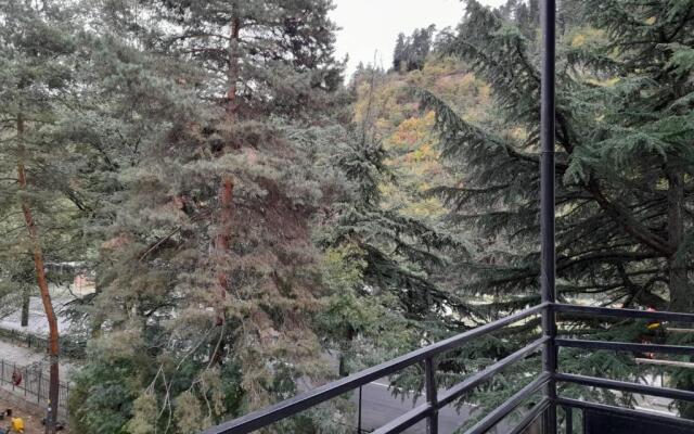 Apartament in the center of Borjomi