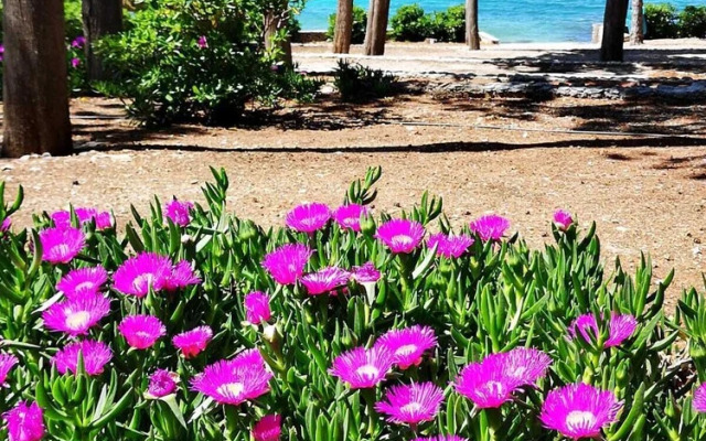 Holiday Home Pavarotti