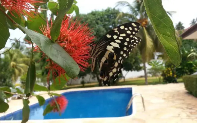 Furaha Resort