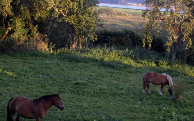 Ferienwohnungen Boddenstraße 55b