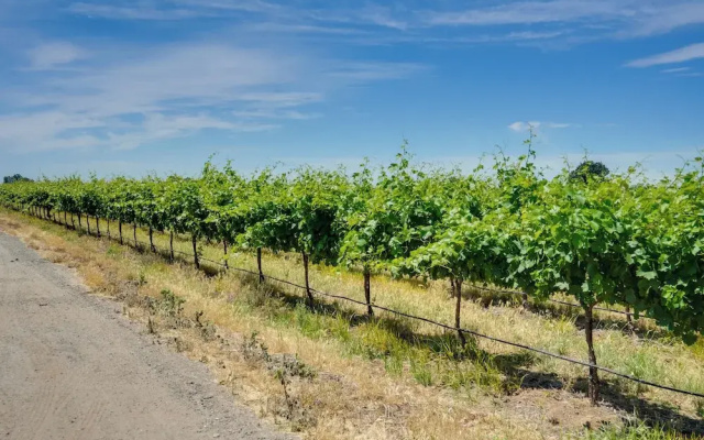 Charming Lodi Retreat: Walk to Local Wineries