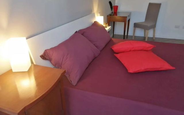 B&B Colors