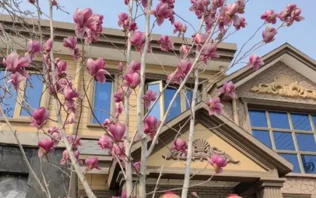 Shuianxiangju Boutique Homestay