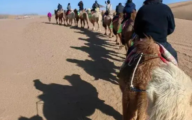 Zhongwei Moshang Fanxing Desert Star Watching Homestay