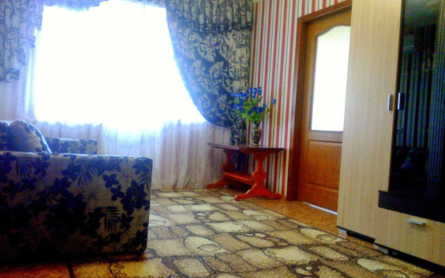 Apartment on Robitnycha