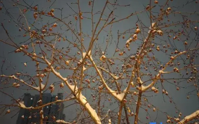 Yabuli Fuli Mountain Homestay