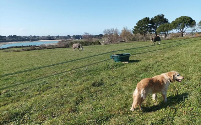 Quiet Duplex Apartment in St Briac sur Mer