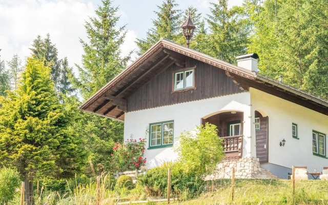Alpenchalet Rehkogl 46