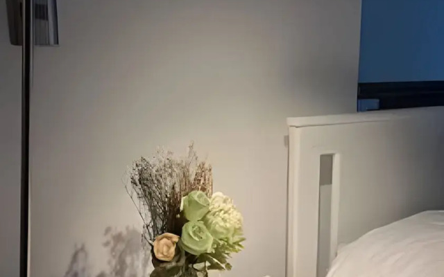 Collection R 2 Bellas Artes