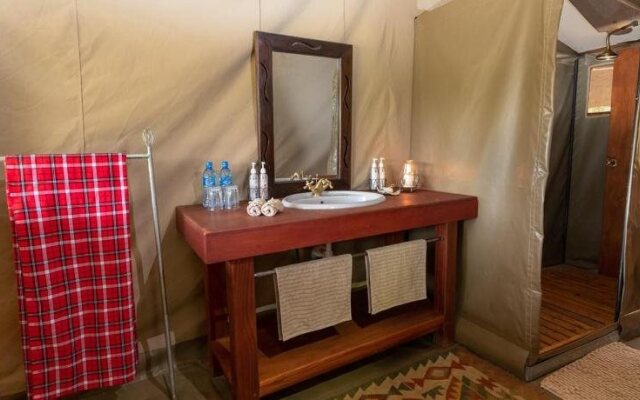 Hammerkop Migration Camp