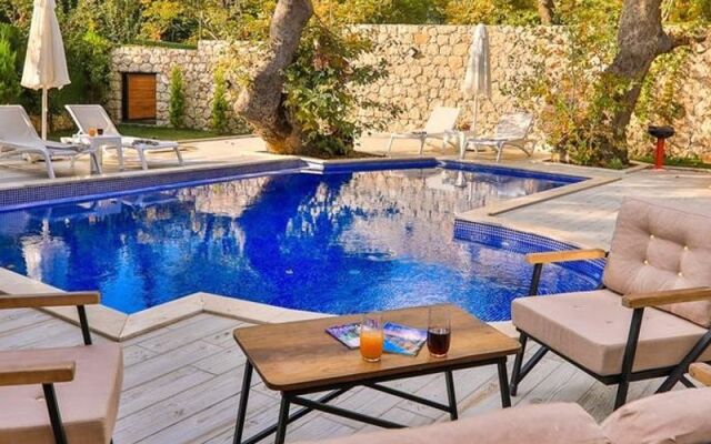 Villa Kozmos 1