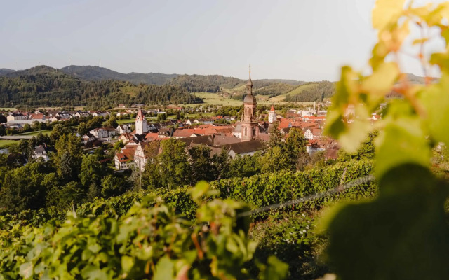 Holzerhof-Ferienwohnungen