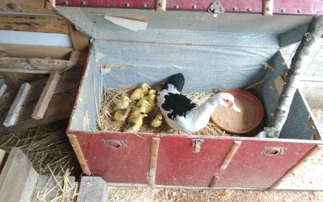 Lago da Garça Guesthouse
