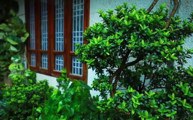 Nutshell Airport Retreat by the Sea