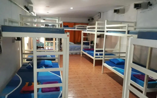 Hangover Hostel